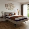 iCare IC333 Premium Homecare Bed Split Queen